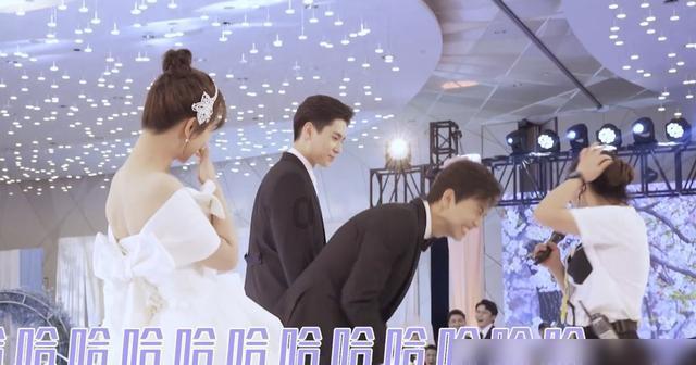 救援蓝色小兔